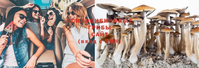 Галлюциногенные грибы Magic Shrooms  OMG ТОР  Донецк 